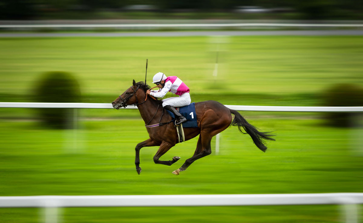 Betting on the Jockey – Choosing the Right Operator